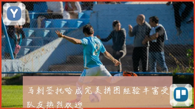 马刺签托哈成完美拼图经验丰富受队友热烈欢迎